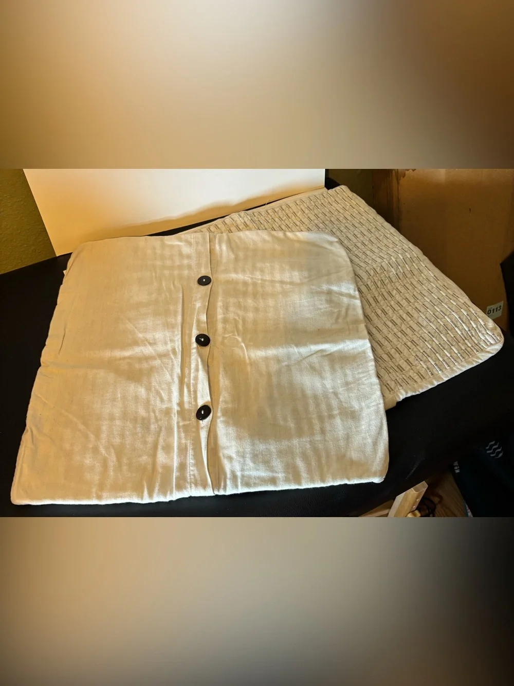 2 Decorative Pillow cases , Contemporary  1 is West Elm , Other unknown.